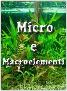 Micro e macroelementi