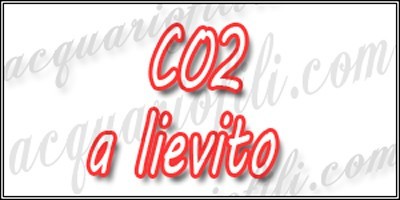 CO2 a lievito